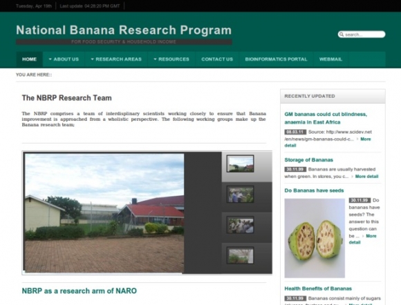 National Banana Research Program